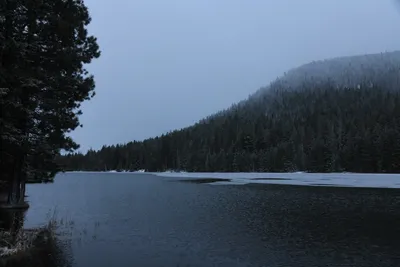 DSC_5799 (Large).JPG